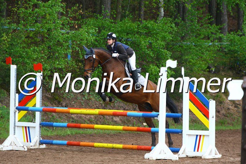 005L4966_Palma_U_Spring  Ax.JPG